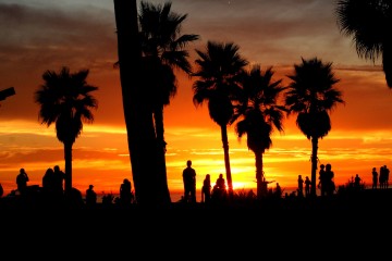 Venice Sunset