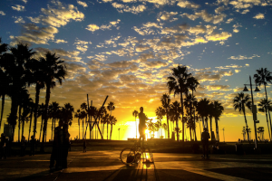 Venice Beach Boardwalk performer