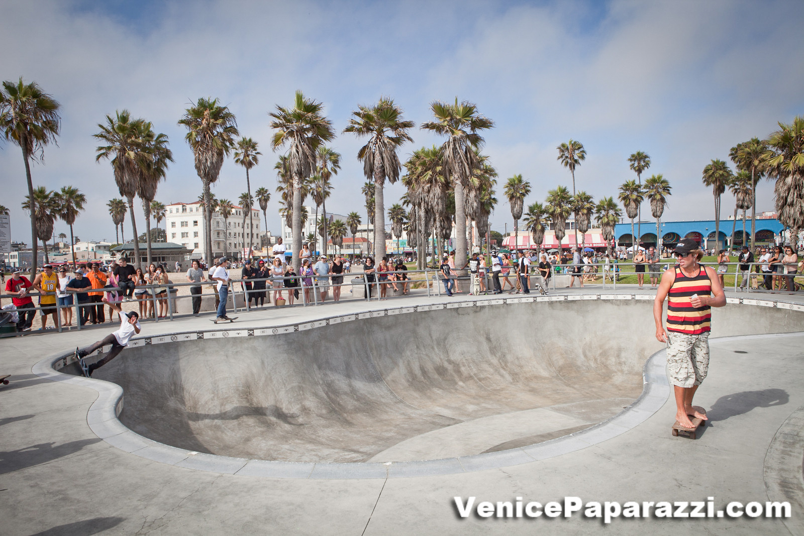 » Venice Skatepark