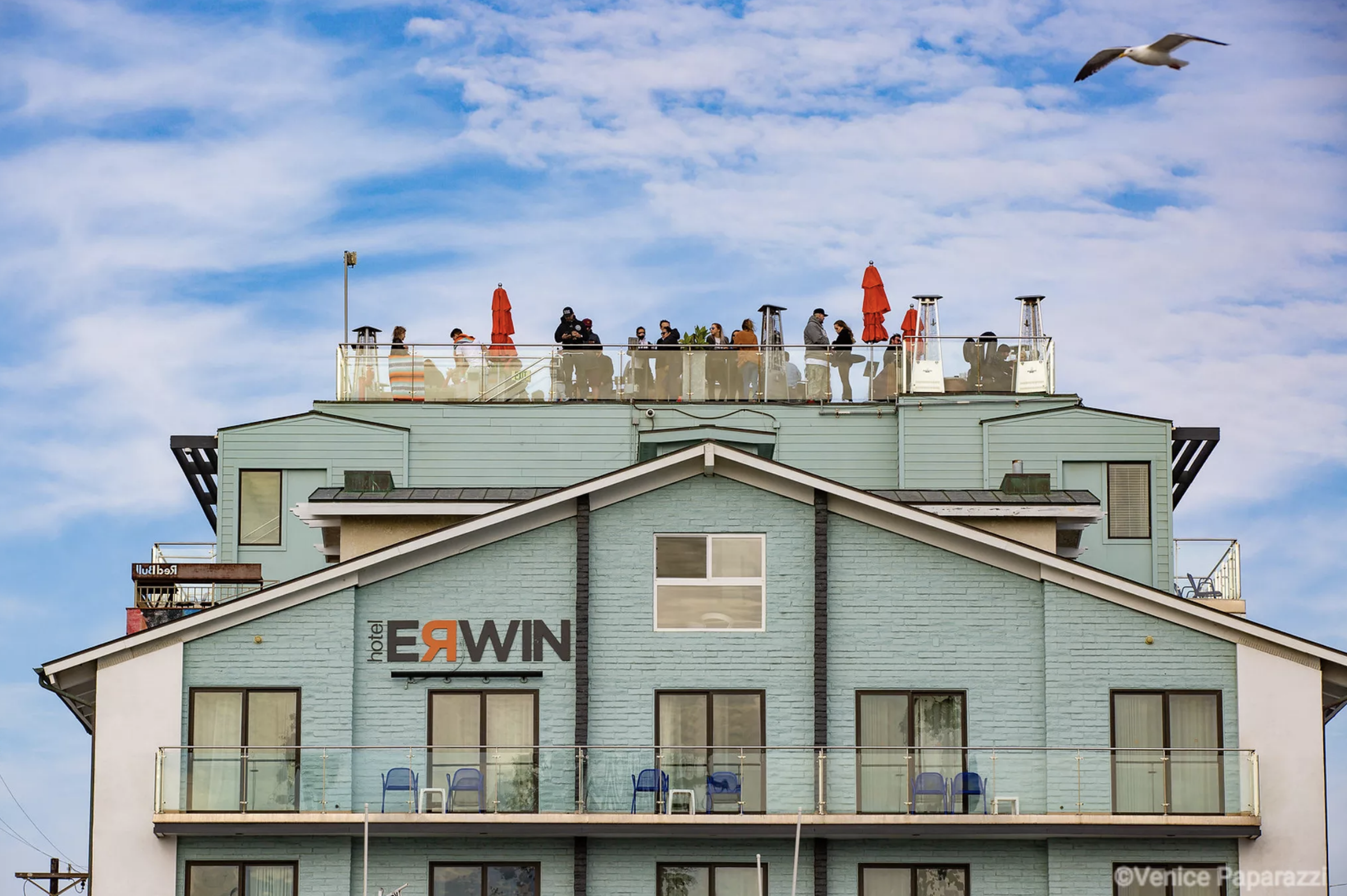 Eclectic. Authentic. Totally Venice. Stay at Hotel Erwin