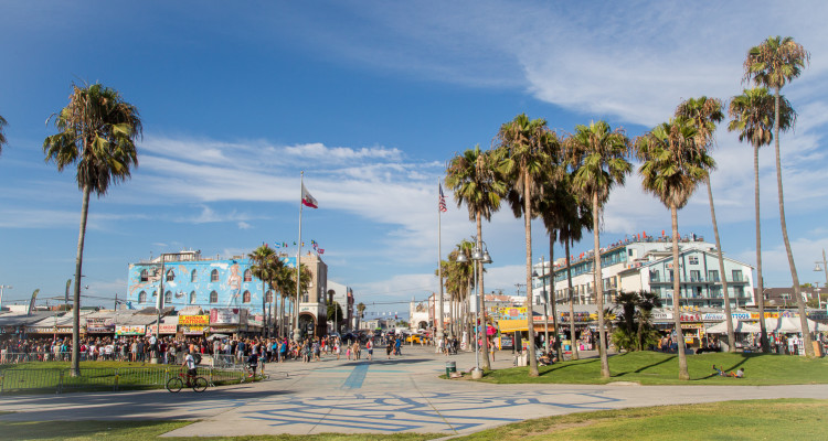 Venice Beach.  © VenicePaparazzi.com