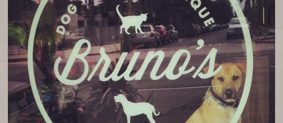» Bruno’s Dog and Cat Boutique