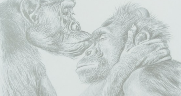 Screen Shot 2016-06-20 at 9.15.57 AM