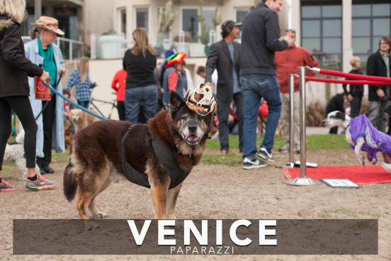 halloween-85-x3-552x368