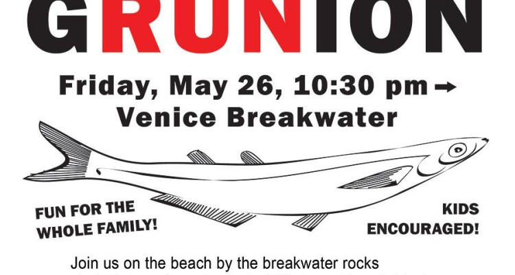 18221983_10155242670197288_5334033586144489290_n