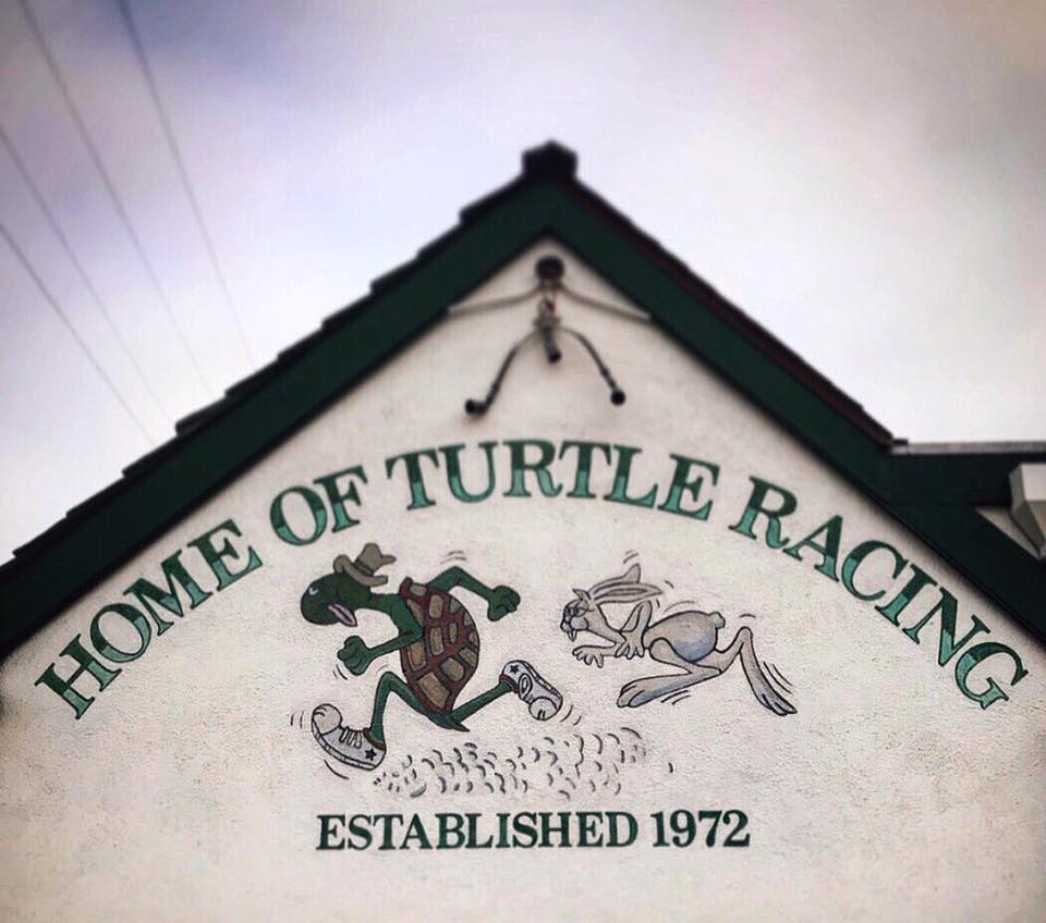 » Turtle Races every third Thursday at Brennan’s