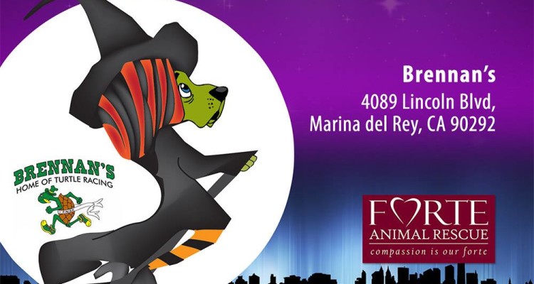 44047268_10160917592770641_778312807782285312_o