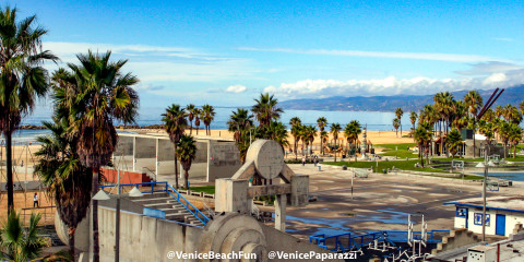 Venice Beach Fun. © Venice Paparazzi