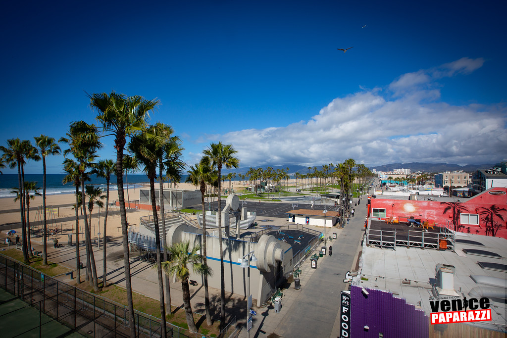» View Venice Beach now with these live cams!