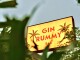 Gin-Rummy.Sign_.Denise-Milford-1