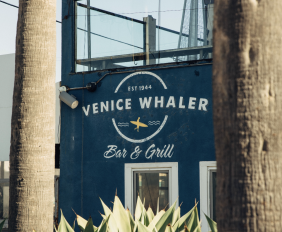 Whaler-