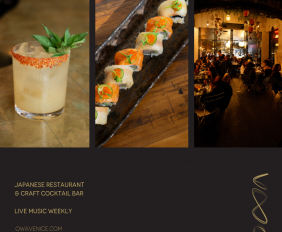 owa_venicepaparazziad