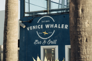 Whaler