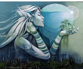 480685472_1179077387556430_7221152898988042290_n