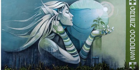 480685472_1179077387556430_7221152898988042290_n