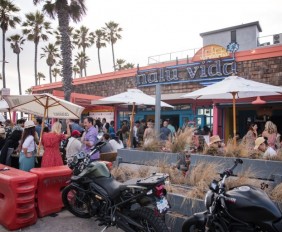 Nalu-Vida-21-X4-768x512