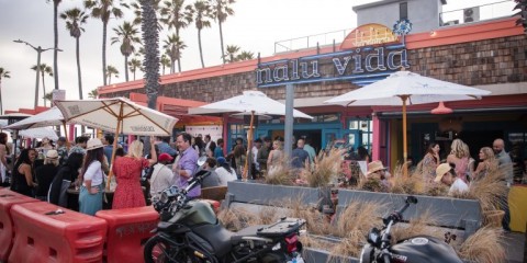 Nalu-Vida-21-X4-768x512