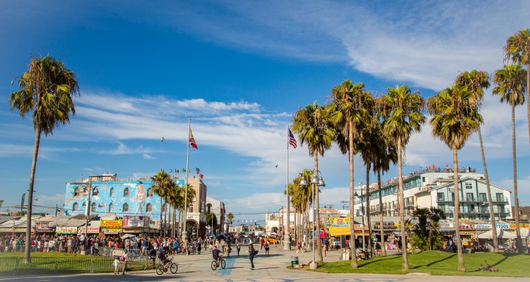 Venice Beach.  © VenicePaparazzi.com