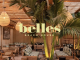 Belles-2